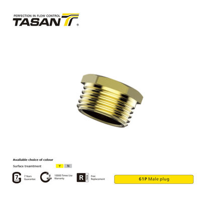 DIN EN 10226-1 Phụ kiện đường ống bằng đồng thau có đầu cắm bằng đồng thau 61P chống gỉ